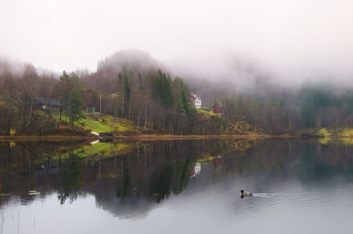 Skårsvatnet