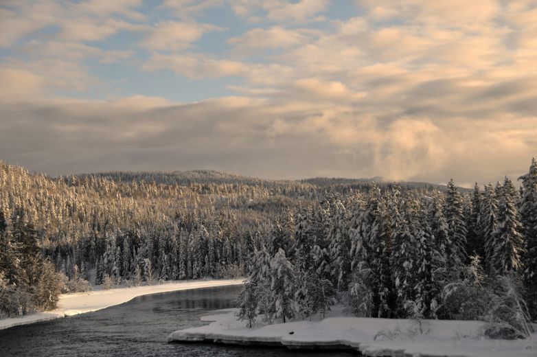Svene (Øya) - winter scenery