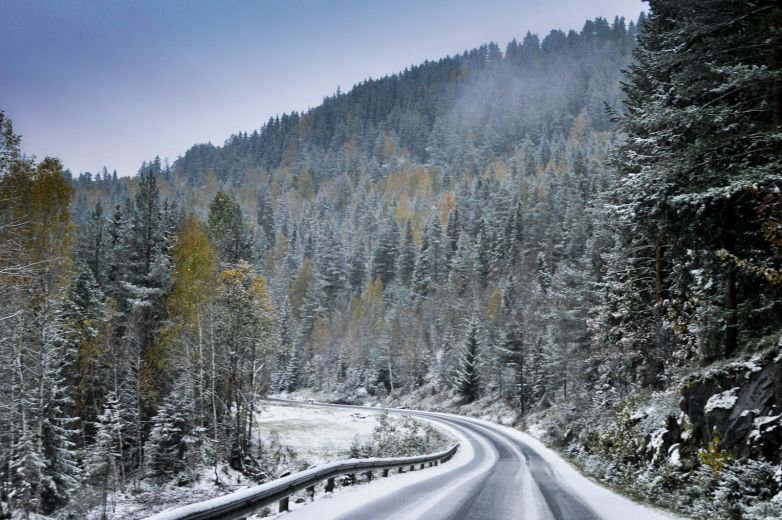 Svene - road winter scenery