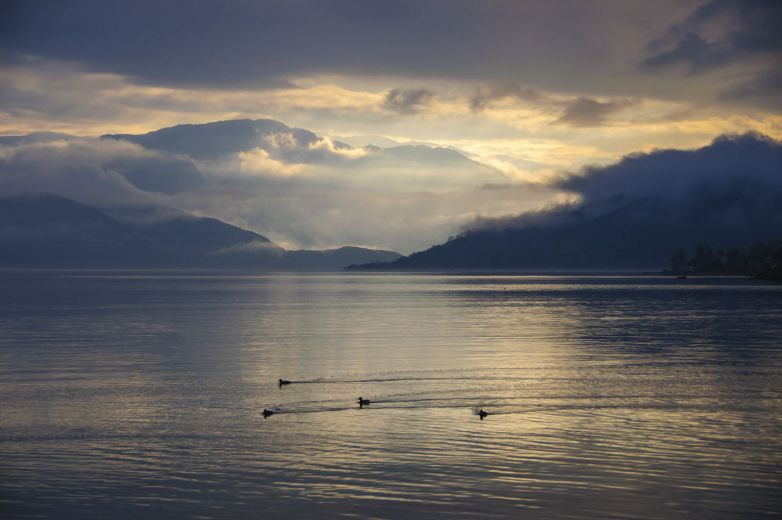 Hardangerfjorden